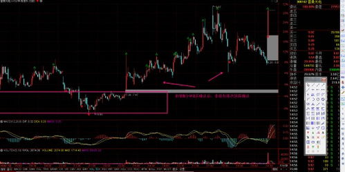 雷曼光電 深耕LED顯示領域，COB技術引領光電科技新浪潮